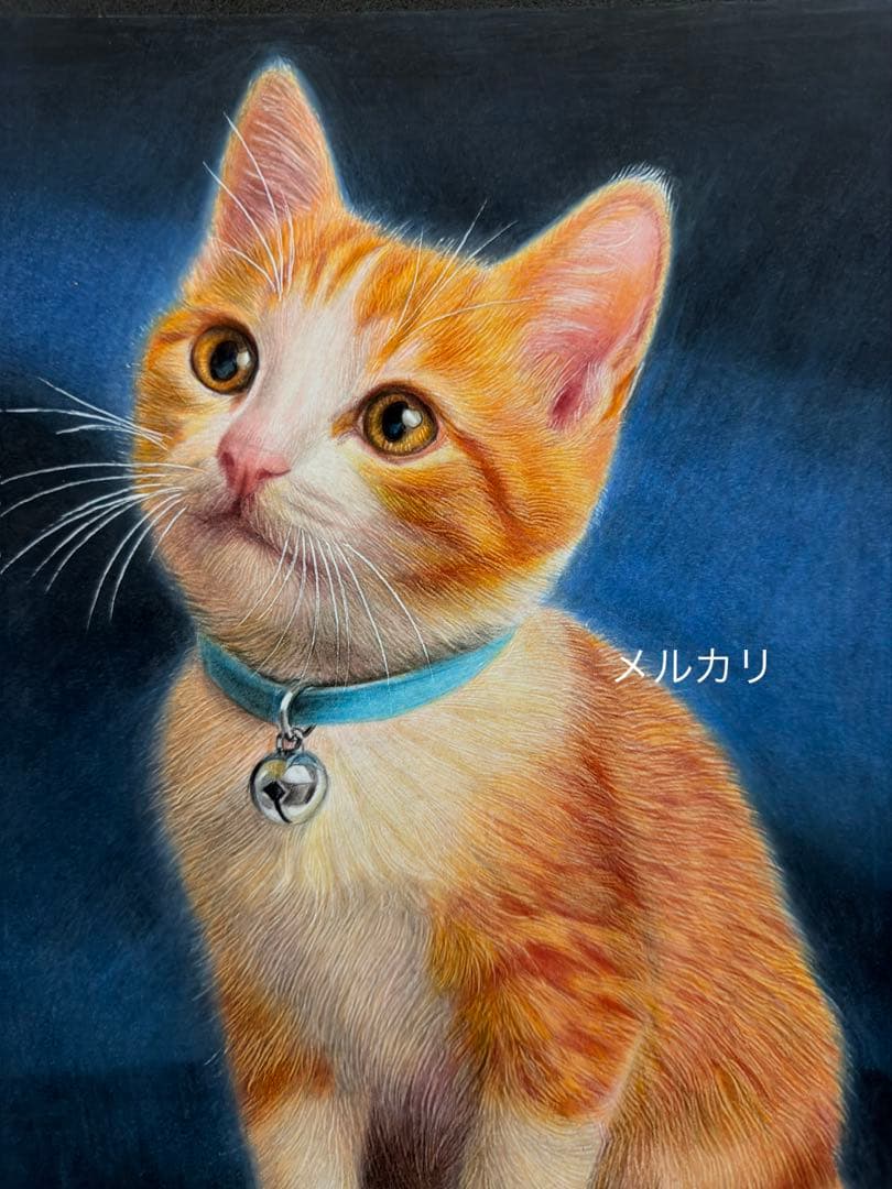 色鉛筆画A4 仔猫