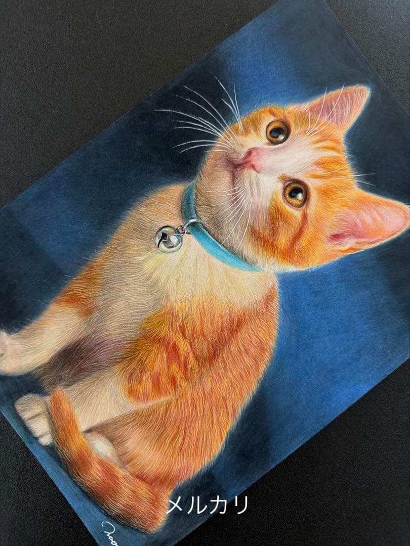 色鉛筆画A4 仔猫
