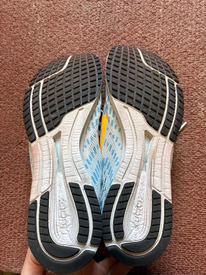 Nike ストリークLT4 27.5