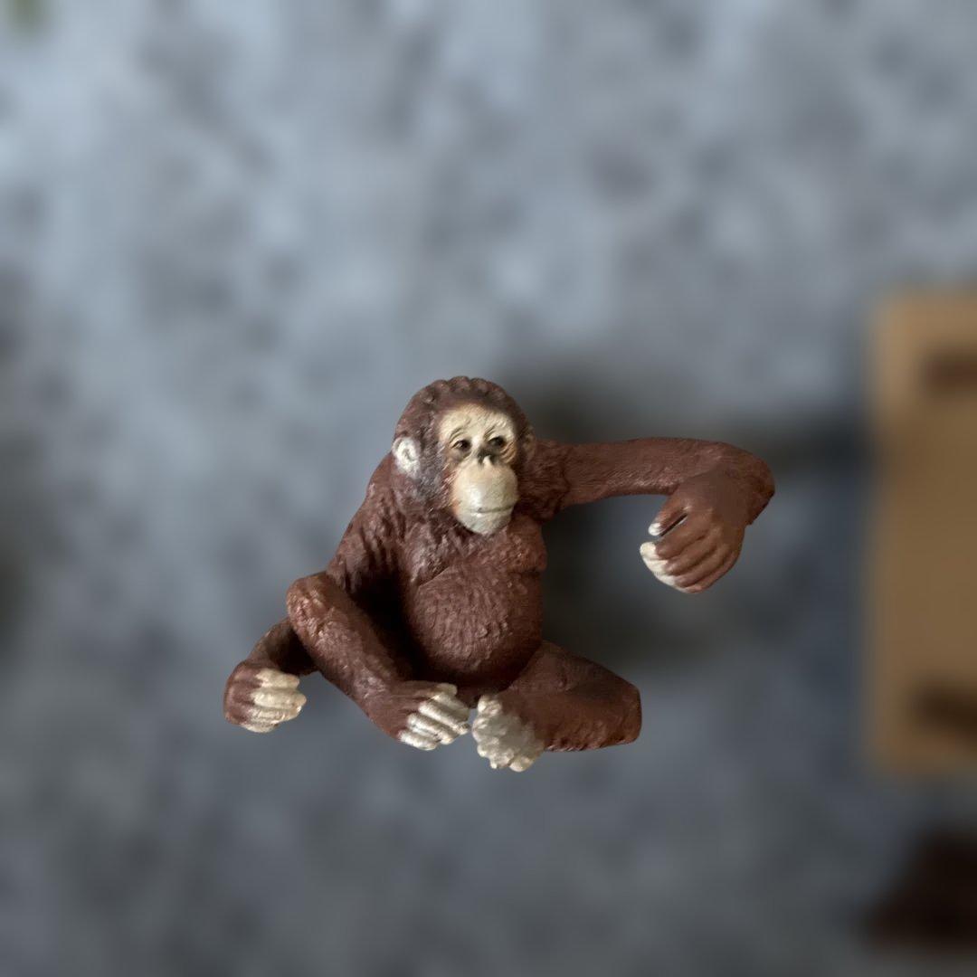 Schleich Wild Life ジャングルセット