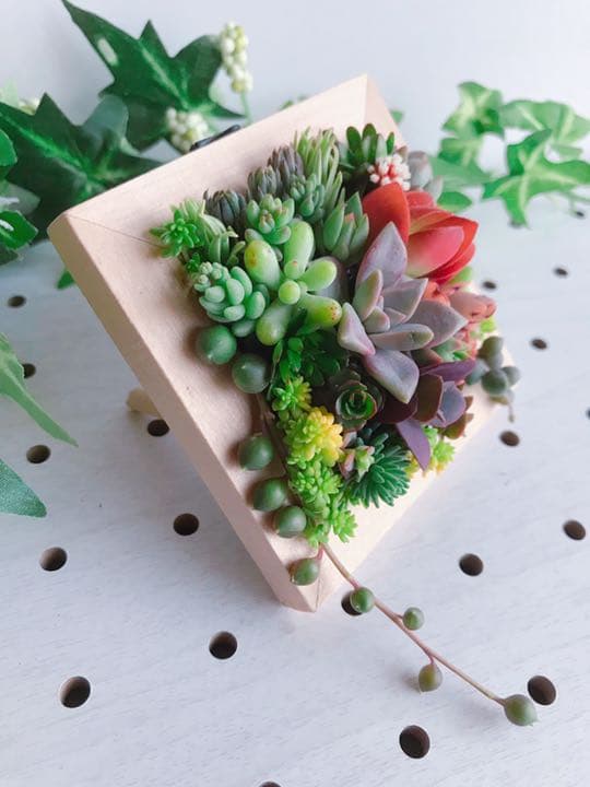 ★★壁掛け❤️★寄せ植え★このまま飾れます★多肉植物★豪華♪♪