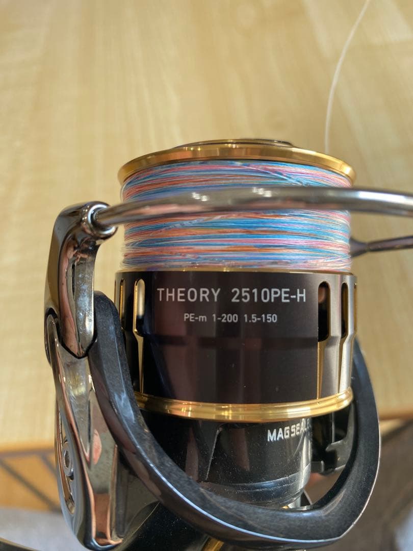 ダイワ　THEORY 2510PE-H