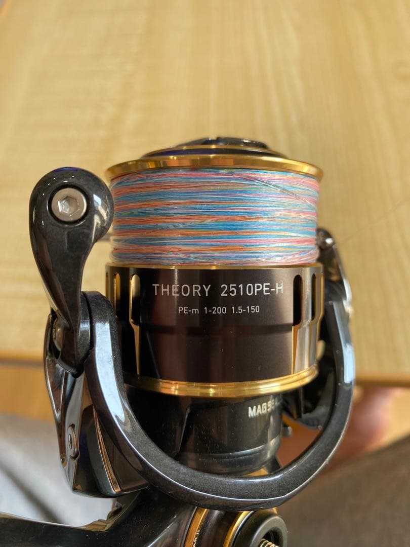 ダイワ　THEORY 2510PE-H