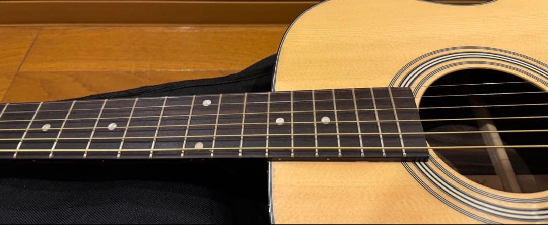 初心者おすすめ！　調整済みアコギ　Aria Dreadnought AF-205
