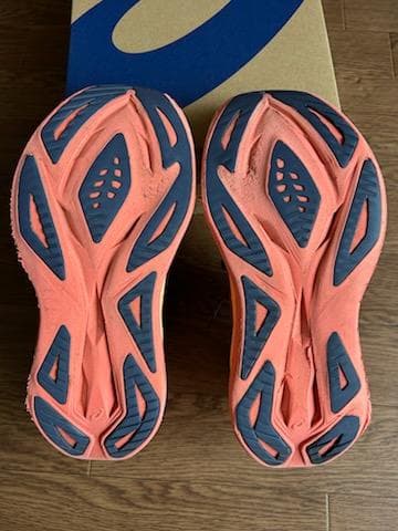 アシックス　スーパーブラスト2 【24.5cm】