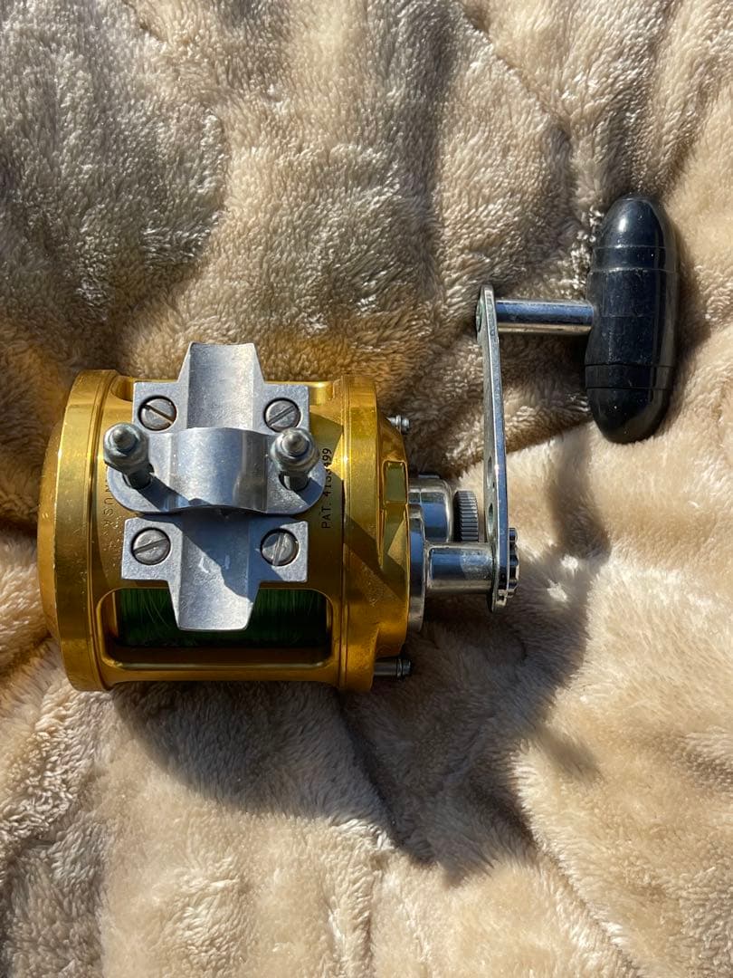 リール PENN REELS 12T INTERNATIONAL II