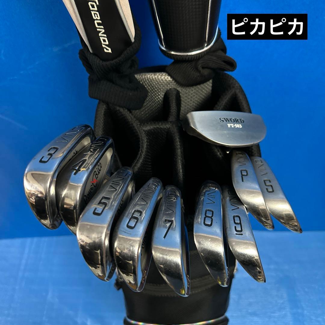 タ*き様 Lynx Silver Cat メンズクラブセット入門用値下げ中