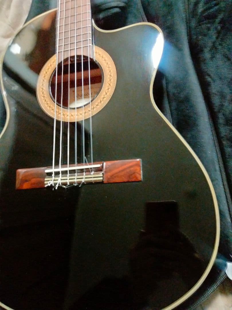 Ibanez エレガット エレガットギター アイバニーズ