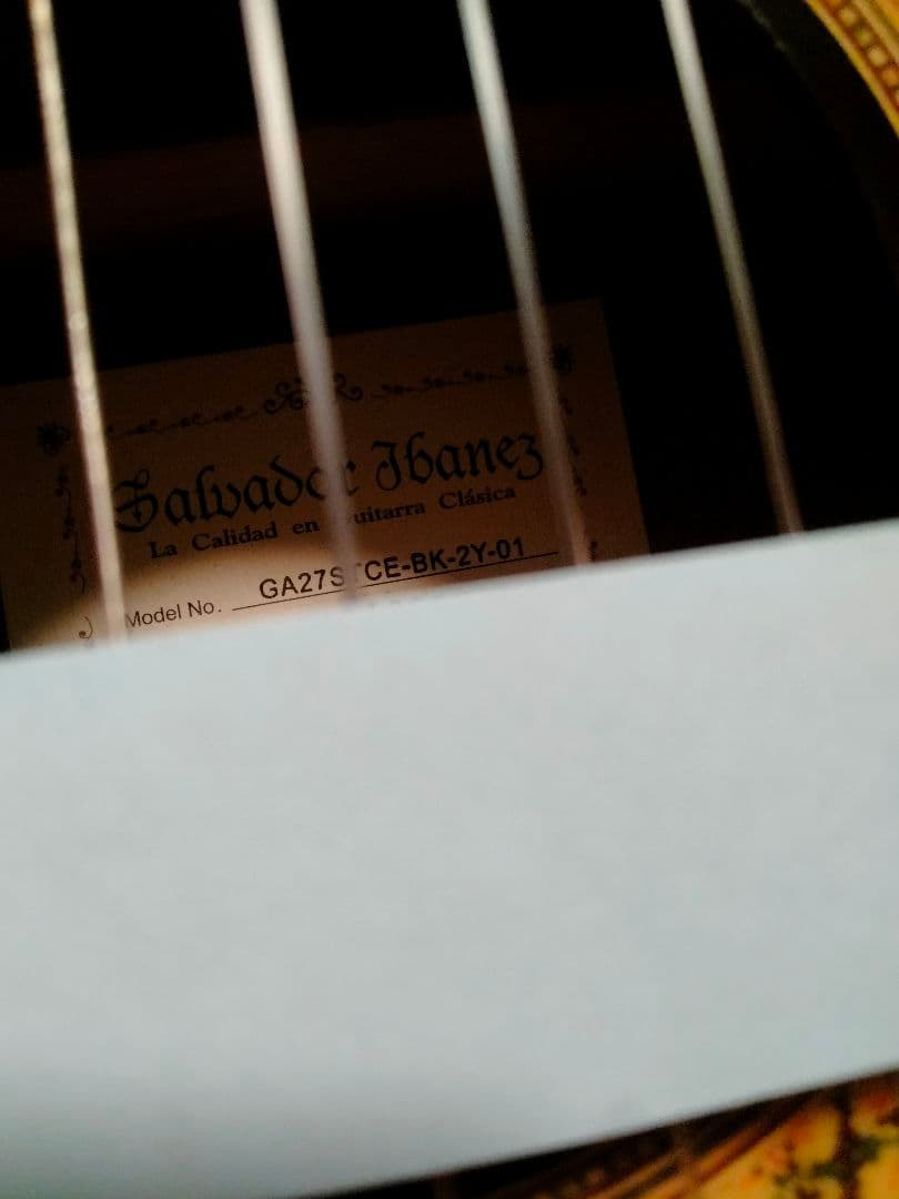 Ibanez エレガット エレガットギター アイバニーズ