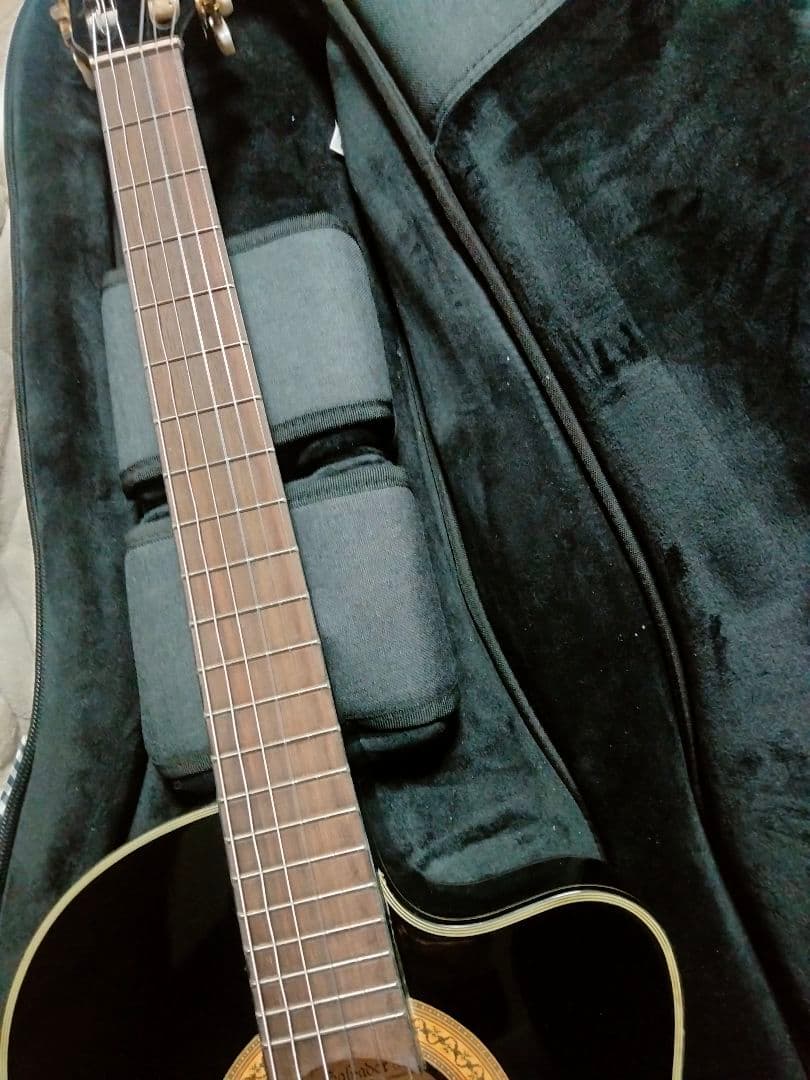 Ibanez エレガット エレガットギター アイバニーズ
