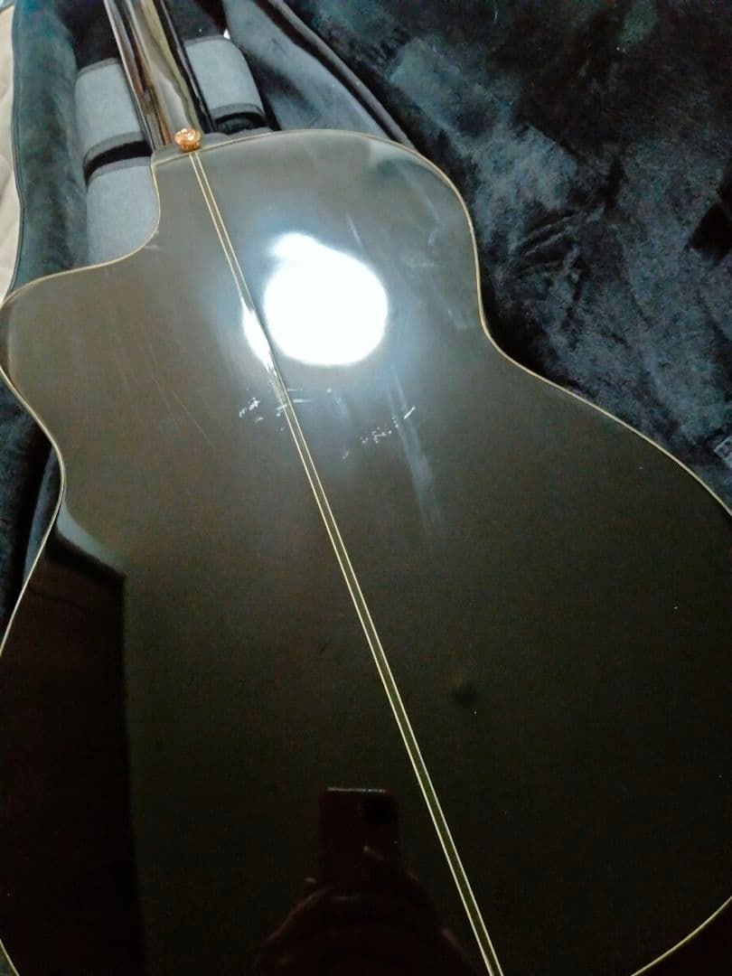 Ibanez エレガット エレガットギター アイバニーズ
