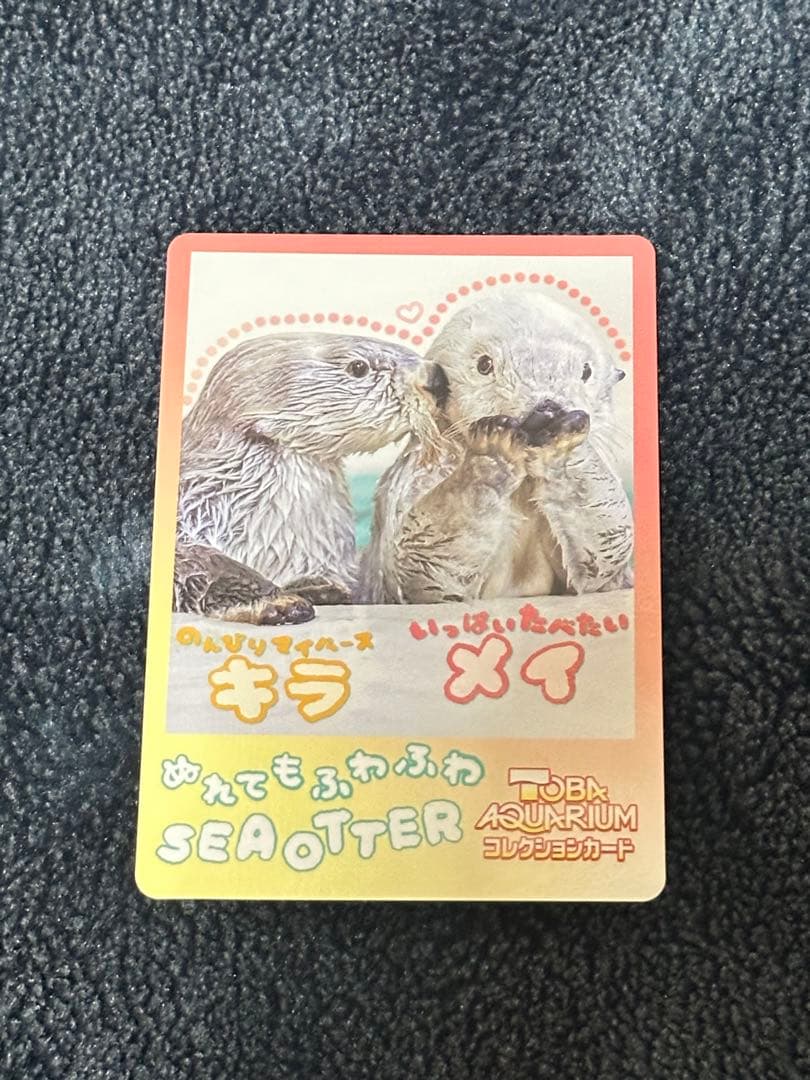 鳥羽水族館コレクションカードvol.2 47 ラッコ　ロイズ　メイ