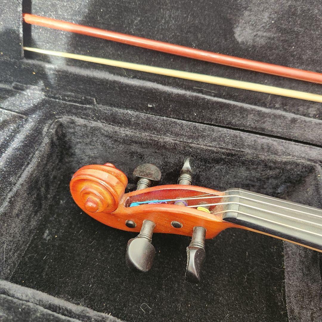 ミ*サ様 Carlo giordano VS-1 1/2 2021年製　カルロジ