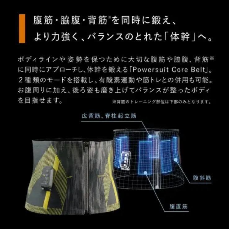 最安値！希少カラー　ピンク LL　シックスパッド パワースーツコアベルト EMS