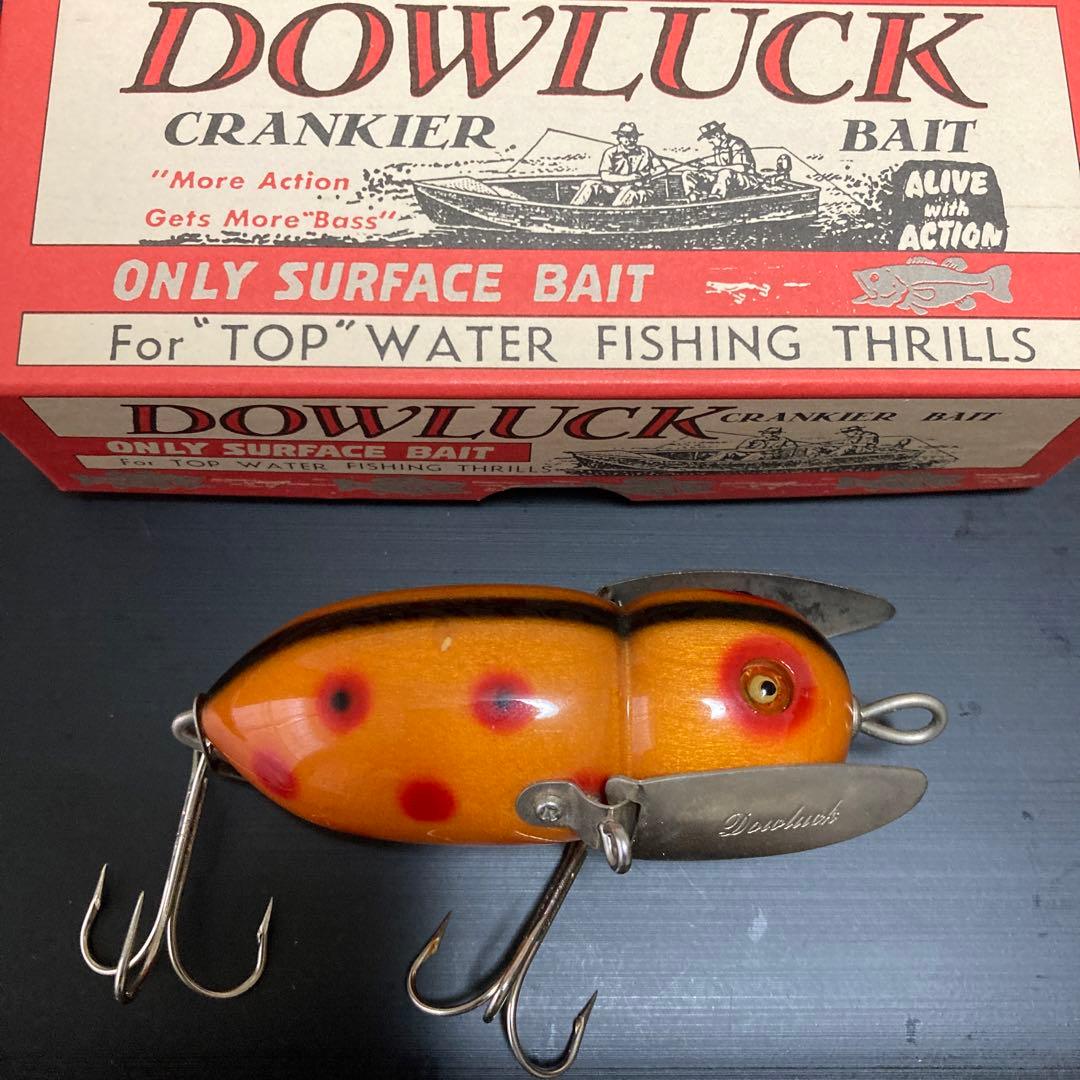dowluck 道楽 アブラゼミ