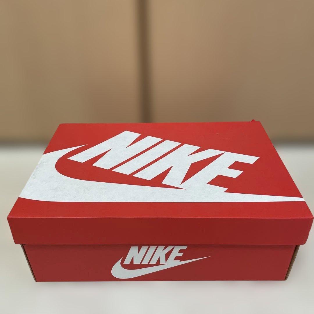美品 NIKE ダンク ハイ レトロ ユニバーシティ