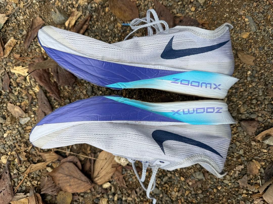 NIKEストリークフライ2 25cm