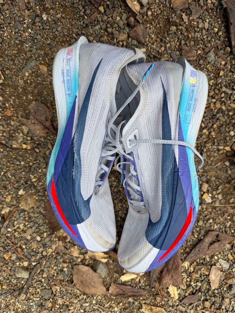 NIKEストリークフライ2 25cm