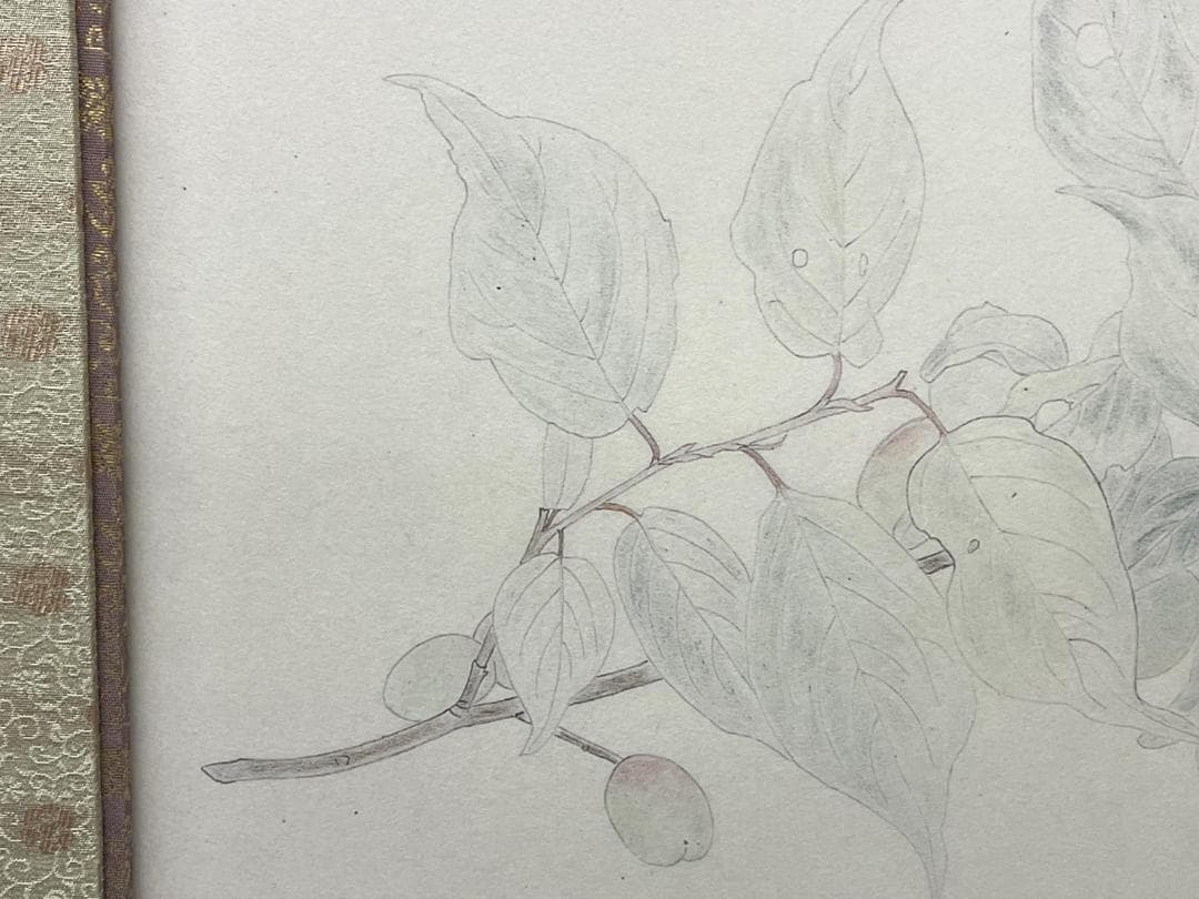 小林古径 「紅梅」清水光芸社 古裂会 限定品1/50 額装71ｘ58.5㎝
