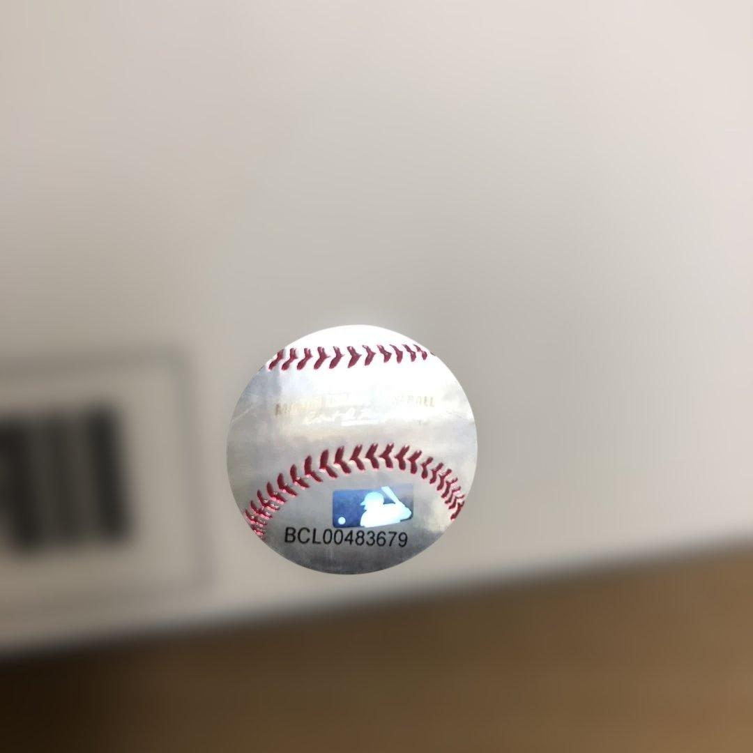 M0317-10 非売品★2025 ドジャース ファンクラブ特典 大谷翔平
