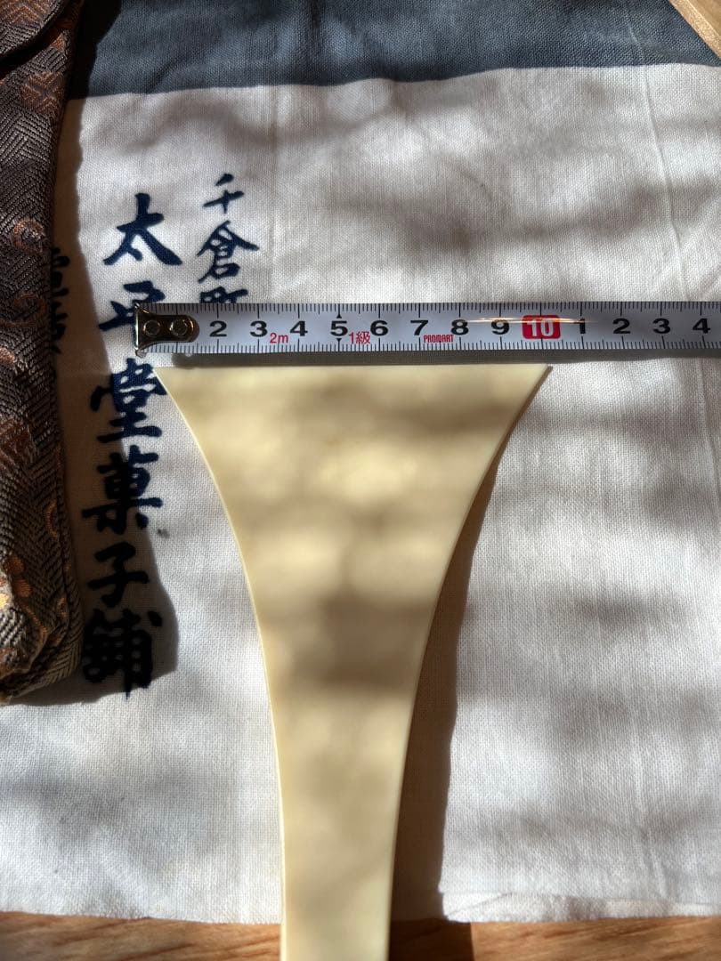 象バチ　状態良し