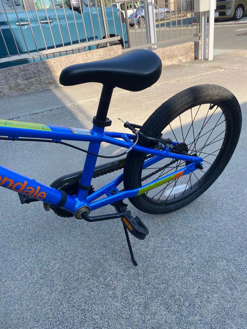 子供　キャノンデール　Cannondale フリーホイール　20インチ