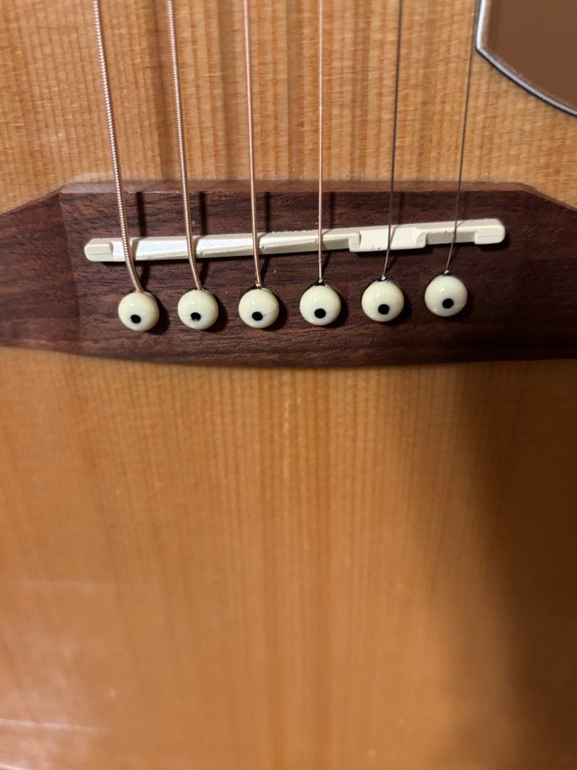 Fender Newporter Player アコースティックギター