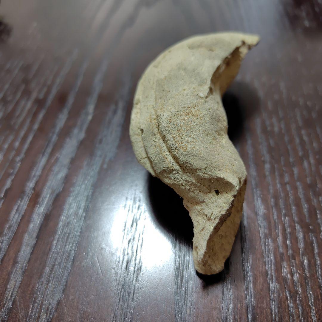 曲線的な形状の古瓦の化石