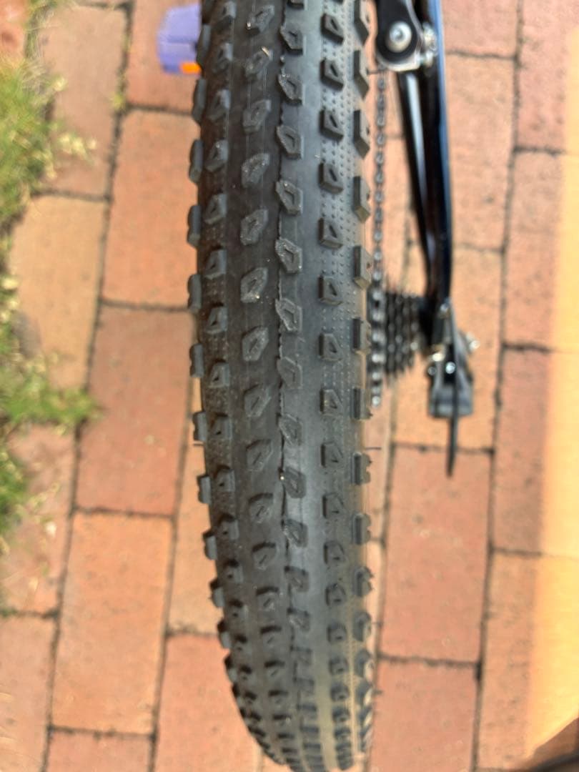 Trek Precaliber 20インチ 黒