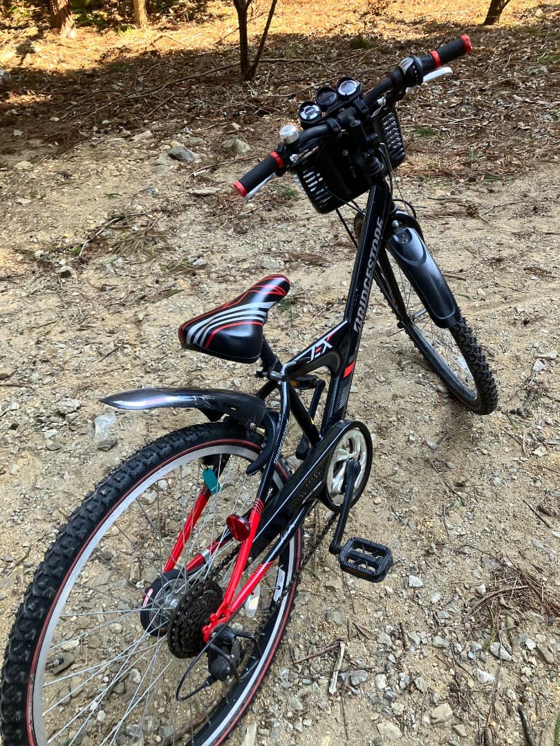 栃木県　自転車　小学生　中学生　　直接引き取りできる方