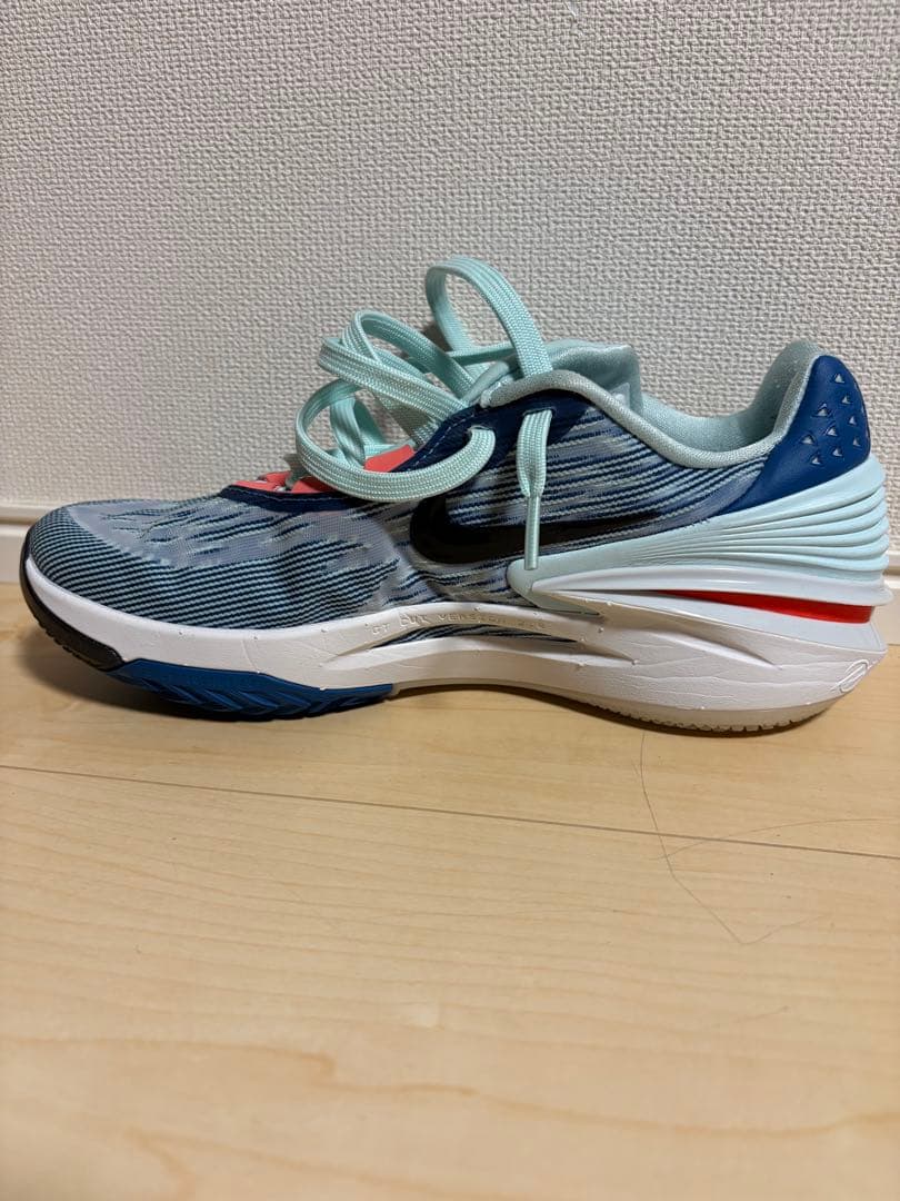 シューズ(男性用) NIKE AIR ZOOM G.T.CUT2