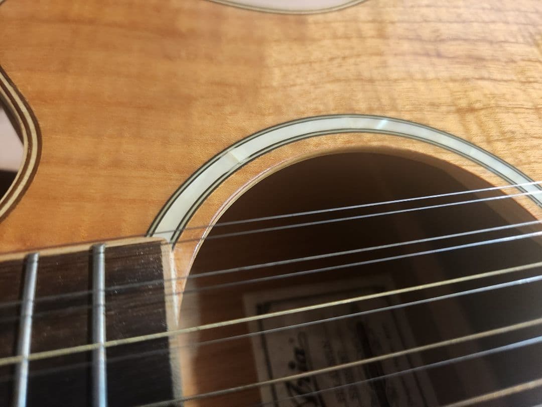 アリア12弦 FET-12/SPL　アコースティックギター
