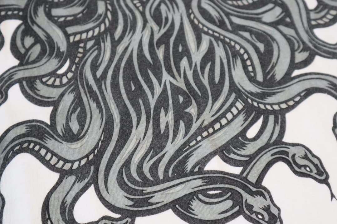 SANTACRUZ/サンタクルーズ/SNAKE GOD/レア/Lサイズ/レア