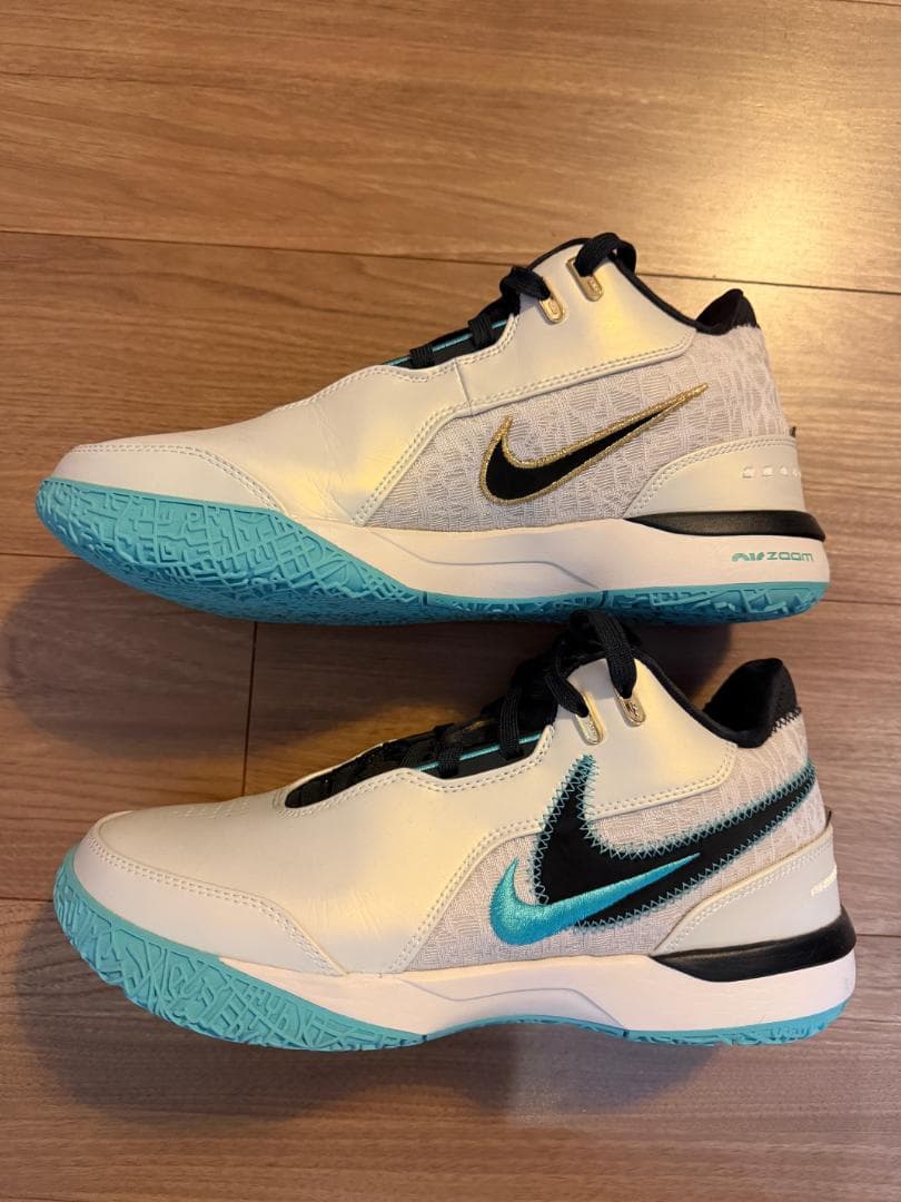 【美品】NIKE レブロン NXXT GEN AMPD EP 26.5cm