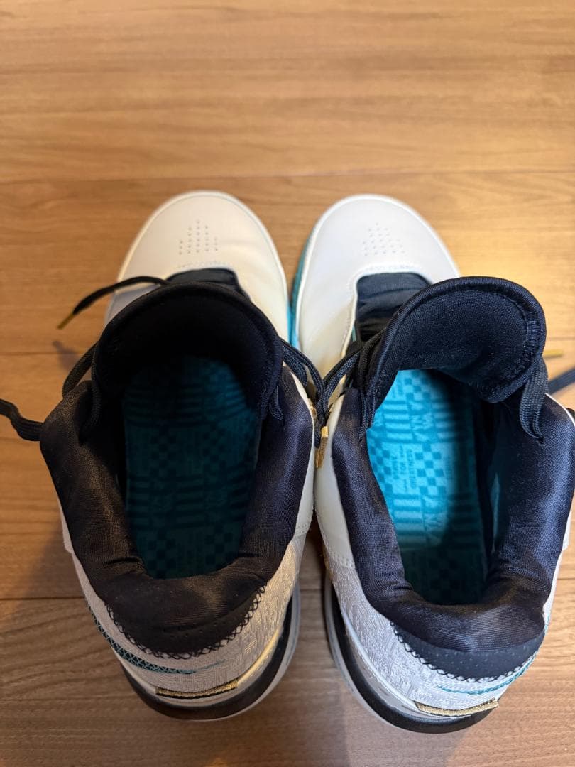 【美品】NIKE レブロン NXXT GEN AMPD EP 26.5cm
