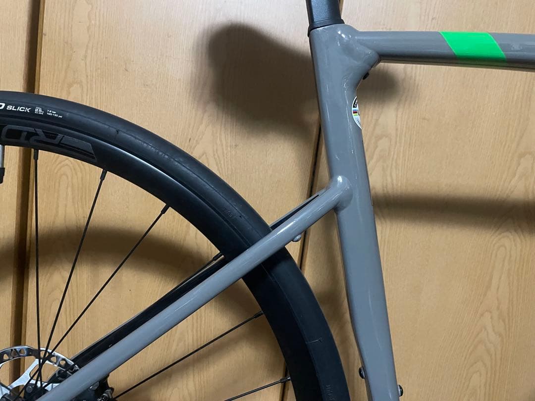 CANNONDALE CAAD13 DISC 2021年　54 ステルスグレー