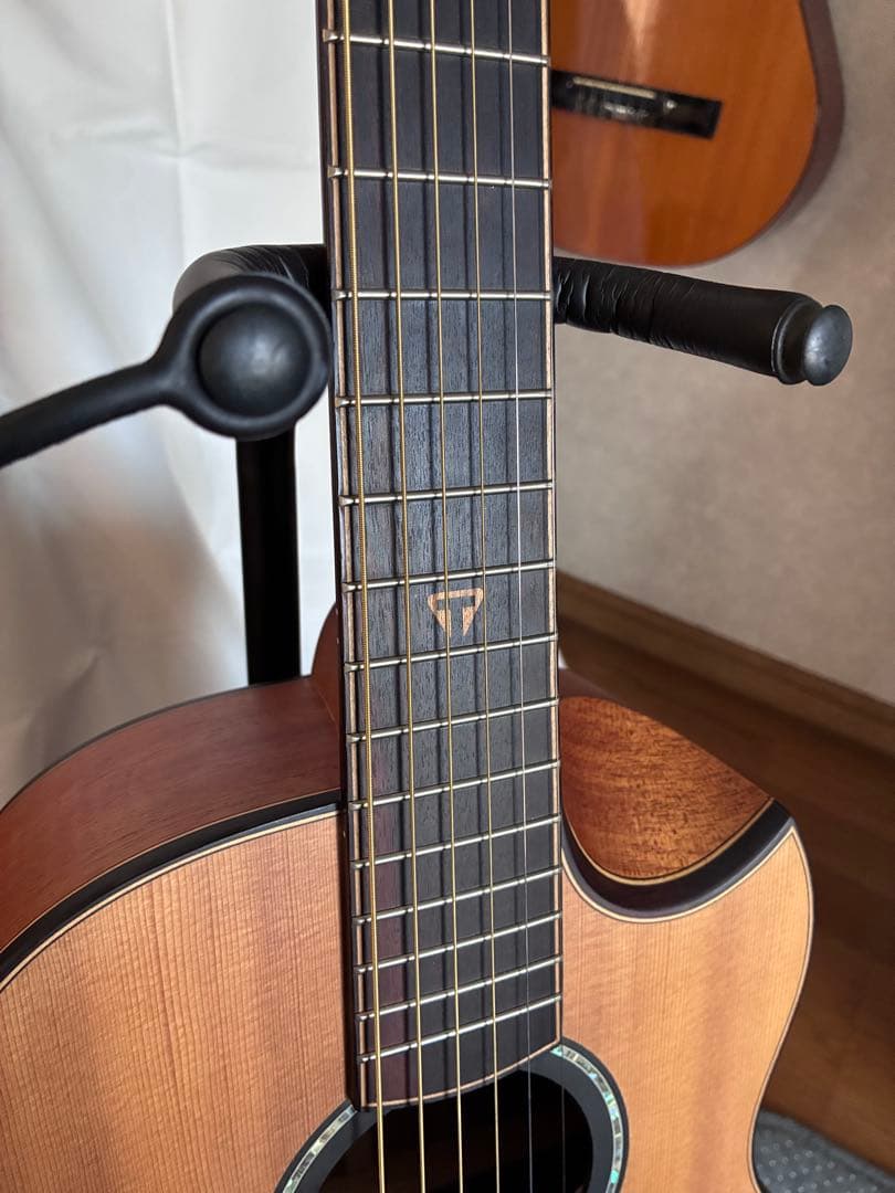 訳あり！TRAVELER GUITAR CL3E SPSE