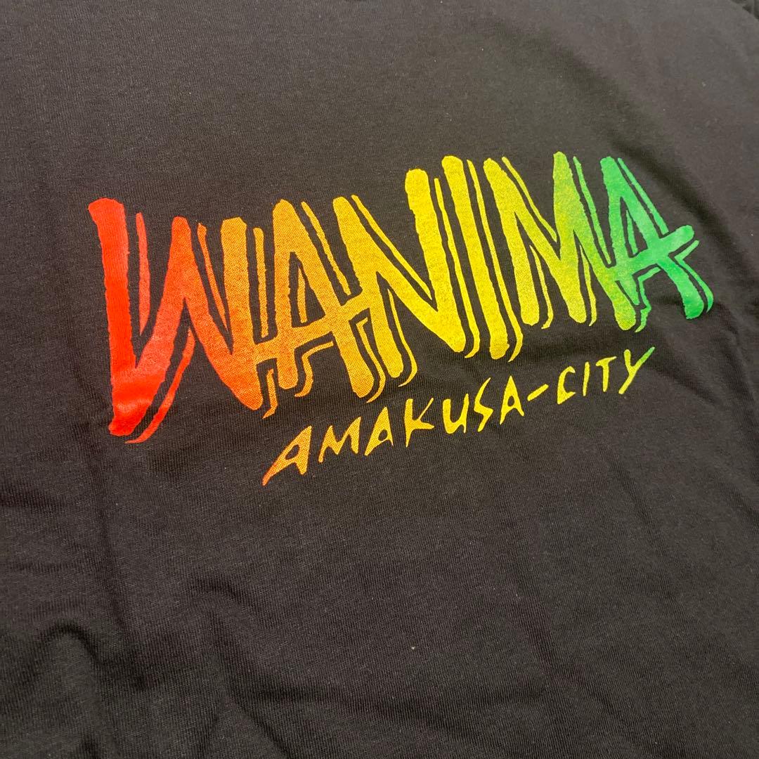 【レア】新品未使用　WANIMA 天草限定　ロングスリーブTシャツ ブラック