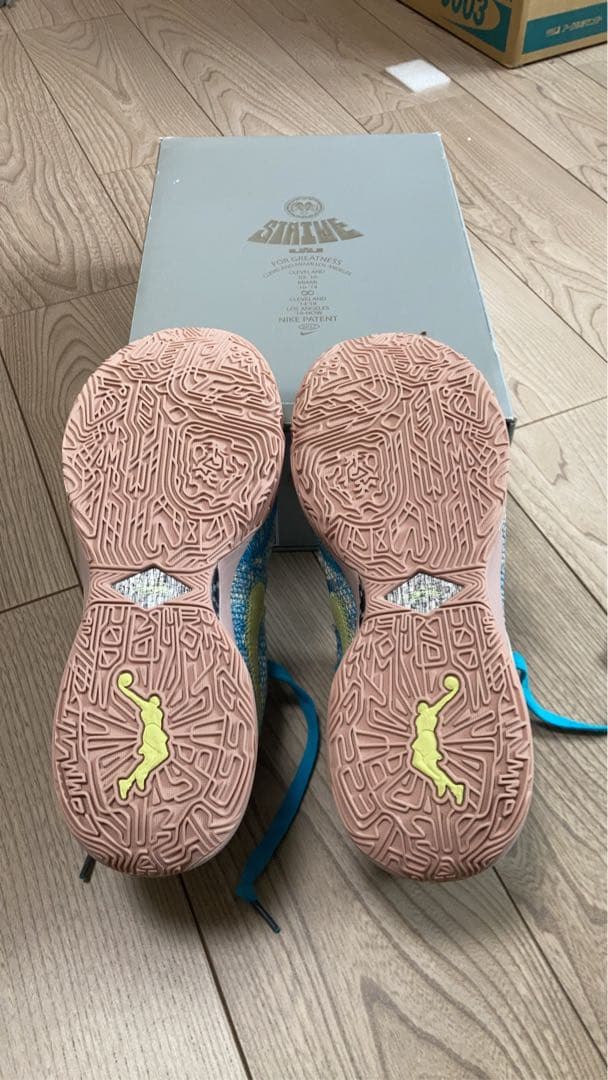 週末セール！！ナイキ レブロン20 オールスター 26cm