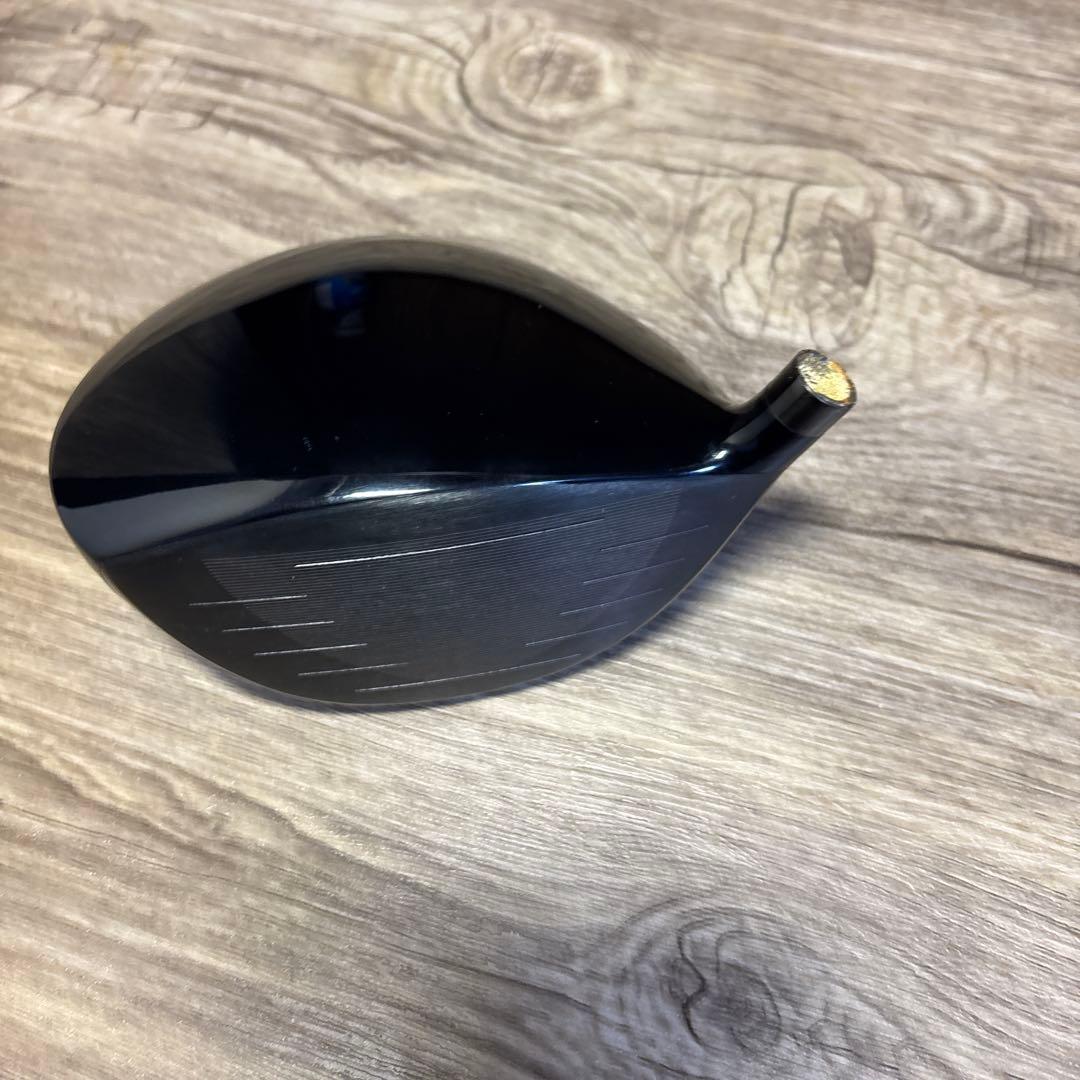 ドライバーヘッド　バディ　エピソードG