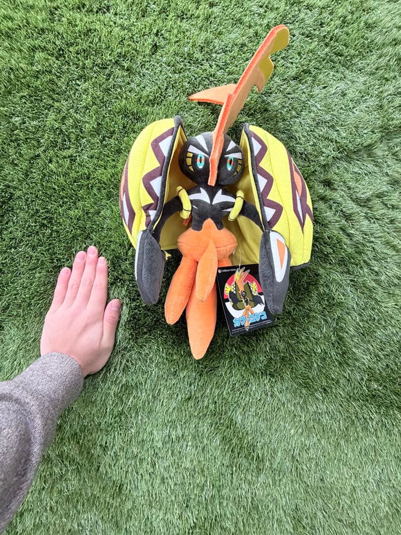 【全てタグ付】ポケセン限定レア3体セット（イーブイ・カプコケコ・ミニリュウ）