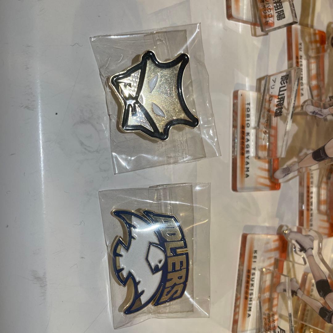 ハイキューアクリルスタンドセット30体