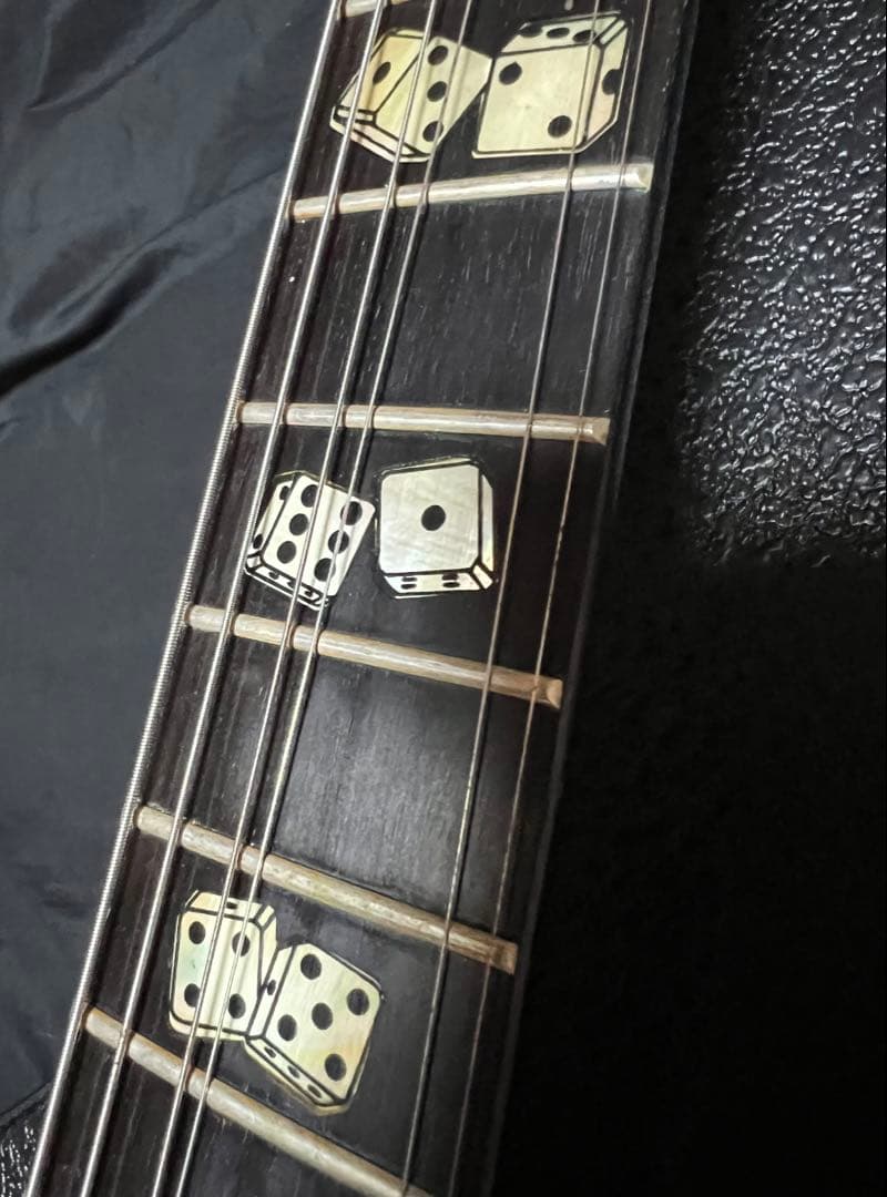 【Epiphone】Flamekat Ebony　Flame Graphic
