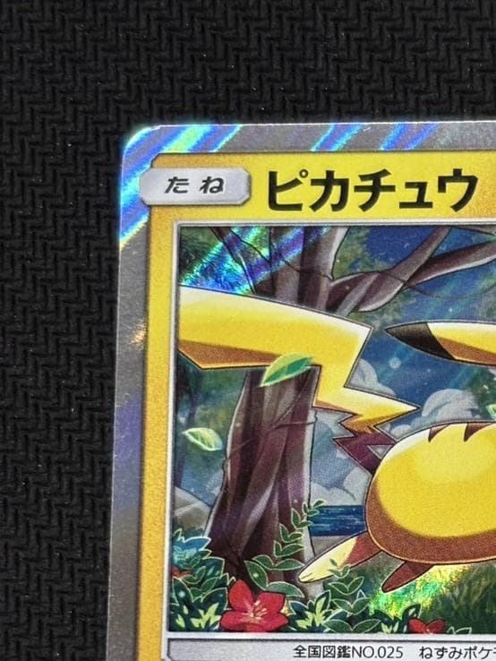 ピカチュウ [SM0 004/004](ピカチュウと新しい仲間たち)