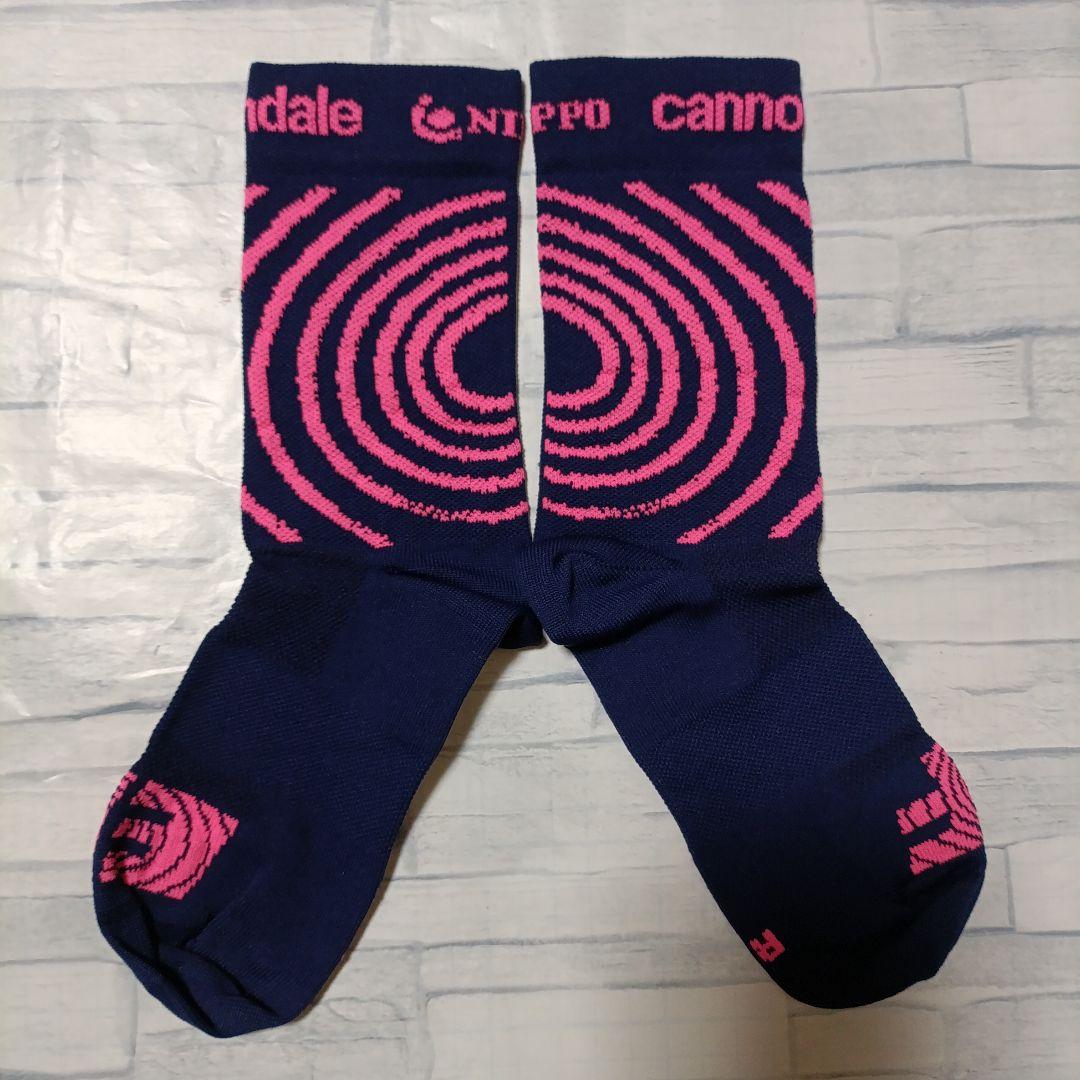 支給品　ソックス　EF Education First NIPPO　Rapha