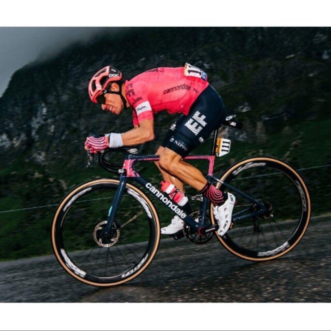 支給品　ソックス　EF Education First NIPPO　Rapha