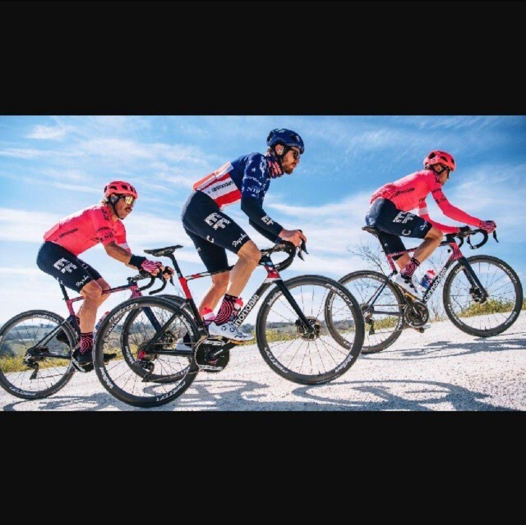 支給品　ソックス　EF Education First NIPPO　Rapha