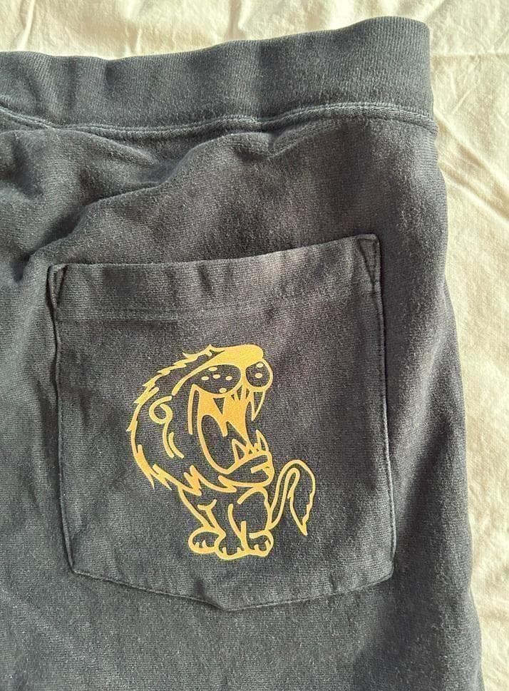 ★超カッコいいデザイン！Champion NSSU WRESTLING 短パン★