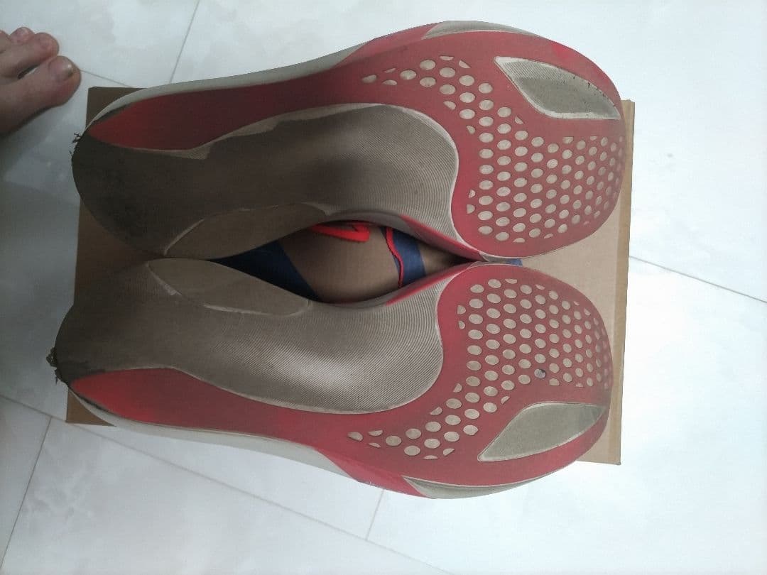 ASICS メタスピードスカイTOKYO　29.0cm