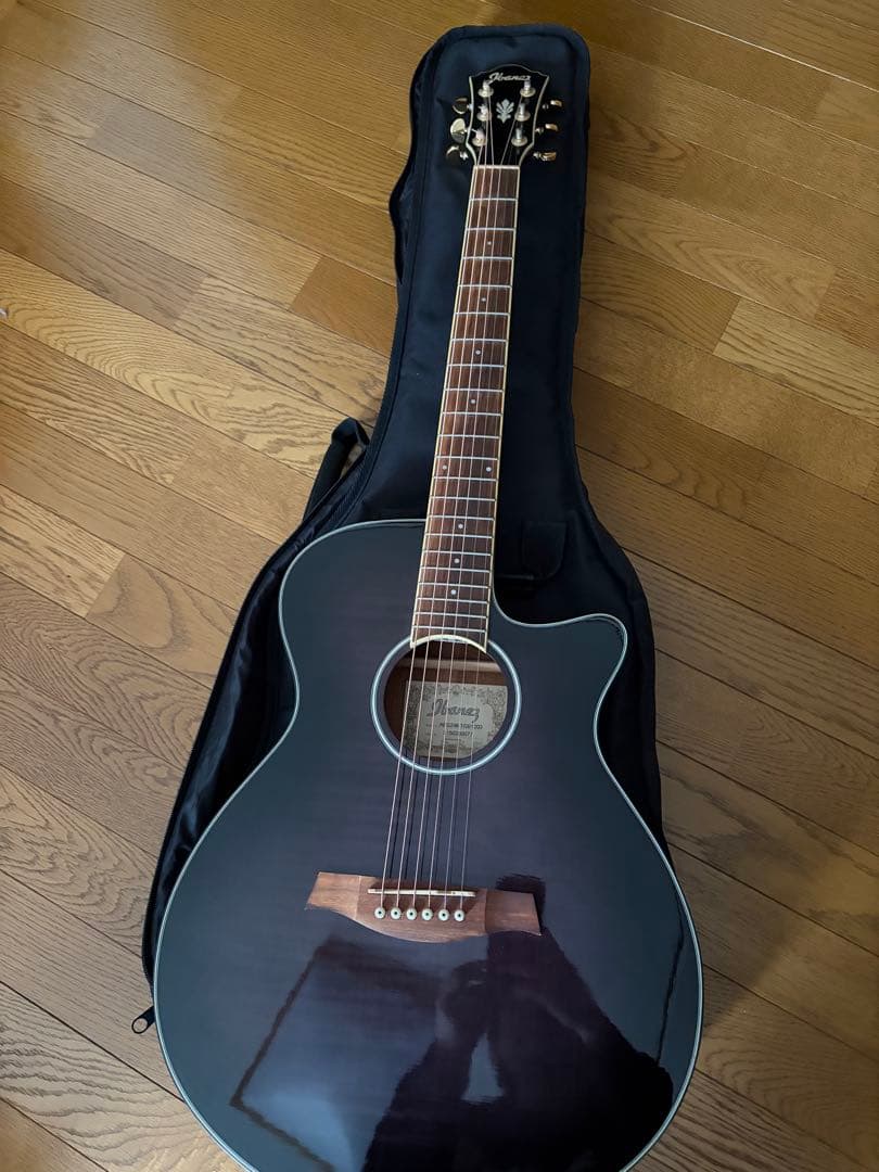 Ibanez AEG24ⅡTGB